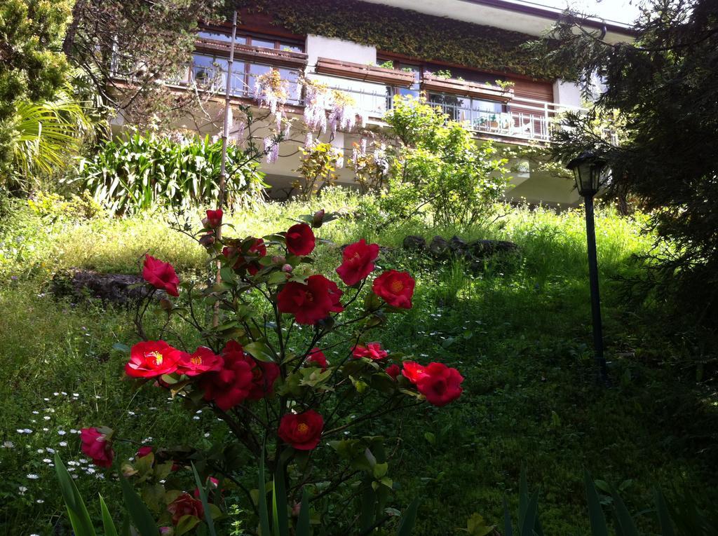 ליירנה B&B Le Ortensie -Lago Di Como מראה חיצוני תמונה
